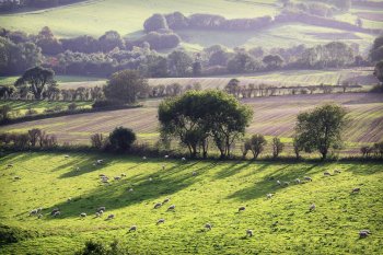 England