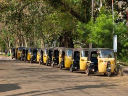 Tuk-tuks, Allepy