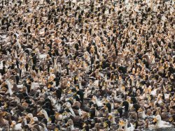 Ducks, Kunarakom