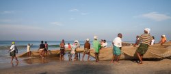Net fishing, Varkala