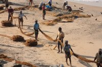 Net fishing, Varkala