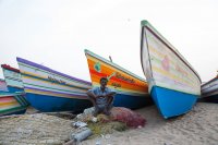 Kollam