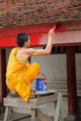 Monk, Luang Prabang