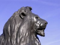 Trafalgar Square