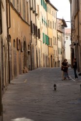 Arezzo