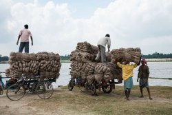Loading Jute